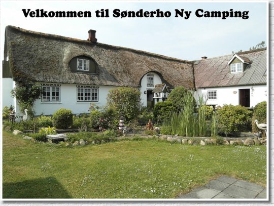 Snderho Ny Camping